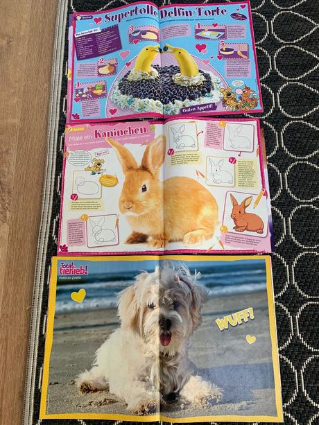 Sada figúrok zvierat, časopisov a zošitov, 