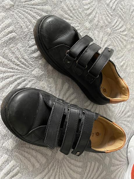 Poltopánky, lasocki,32