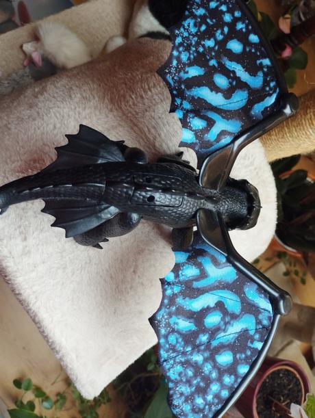 Bezzubok ako vycvičiť draka, 