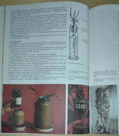 Kvety moja záľuba , m. martišová,