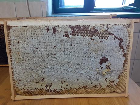 Eco voskoobrusok so vcelim voskom, vceli eko obal, 