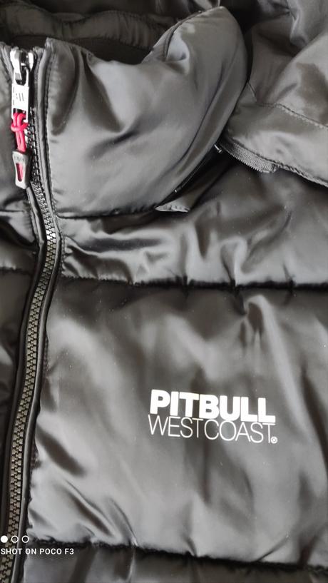 Pitbull vesta, l