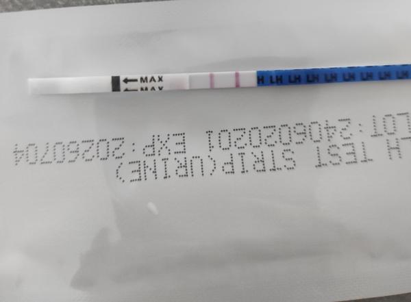 Je môj ovulačný test pozitívny?