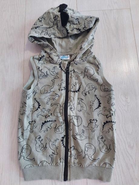 Vesta dino, pepco,98