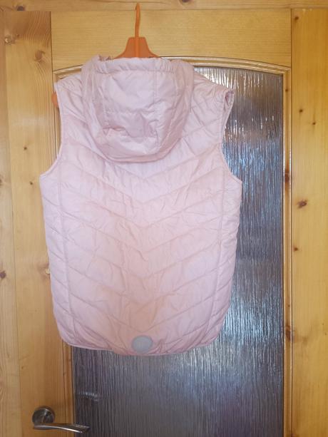 Vesta, coccodrillo,164