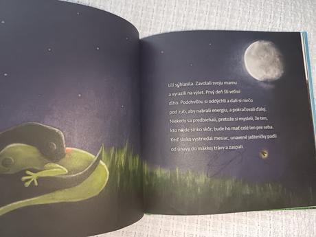 Kniha príbeh o dvoch jasteričkách, 