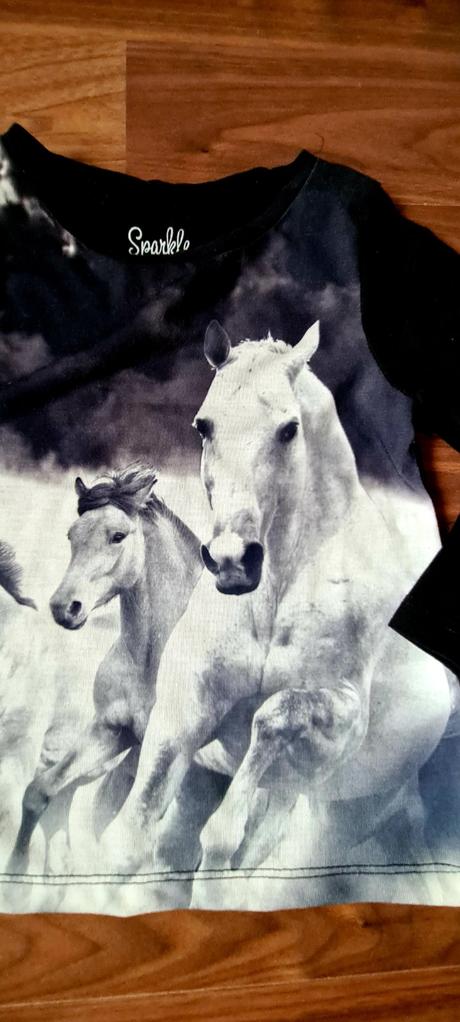 Topik s konikmi, palomino,98