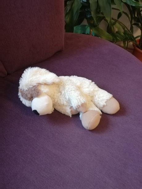 Detský termofor psík, 