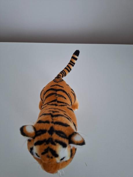 Tiger,