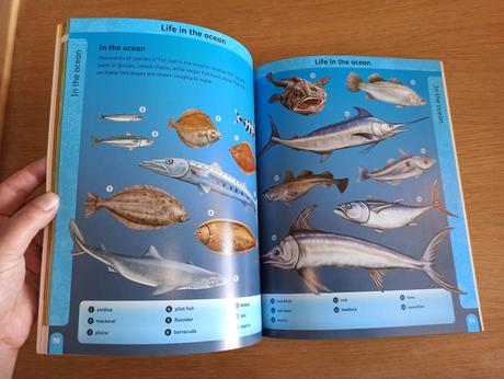 Oxford visual dictionary of animals, 