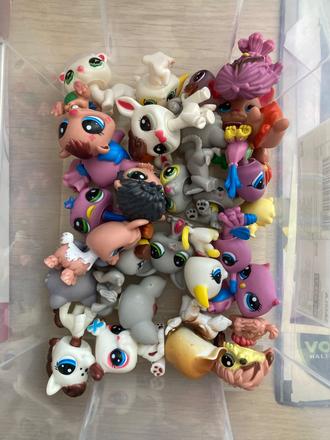 Petshop,