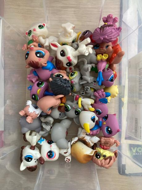 Petshop, 