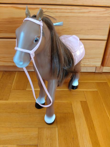 Konik,