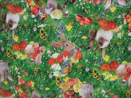 Pvc obrus zajačiky, 