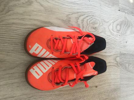 Halovky puma, puma,34