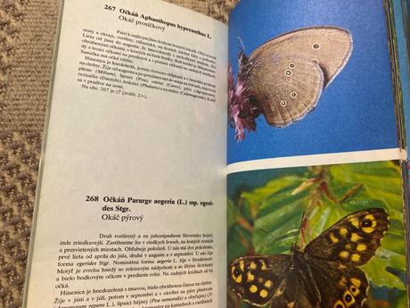 Stará krásna retro kniha motýle 1982 jozef polonec,