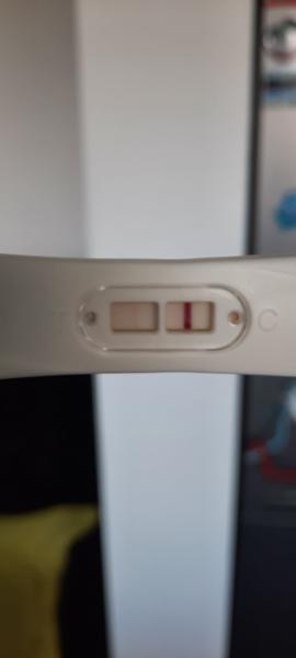 Snažilka po 40, posunutá ovulácia a duch na teste