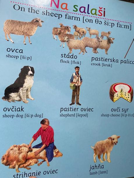 Kniha s puzzle a anglickými slovíčkami, 