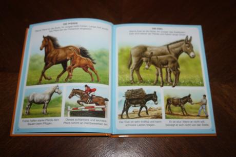 Dein buntes wörterbuch 5 ks, 