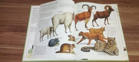 Zvieratá a ich svet, 