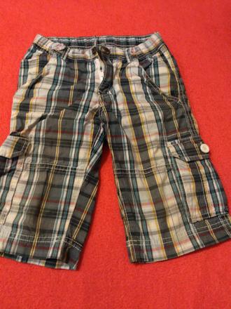 Kratasy, palomino,116