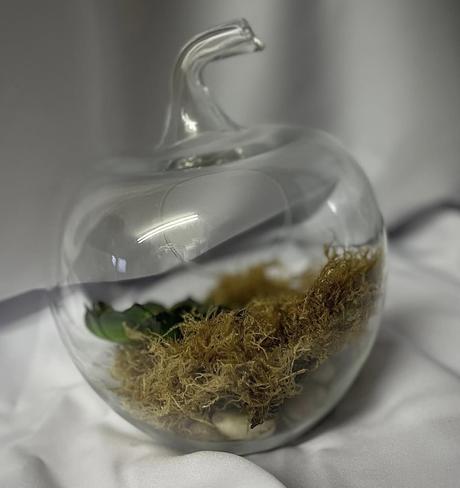 Sklenené terárium v tvare jablka, 