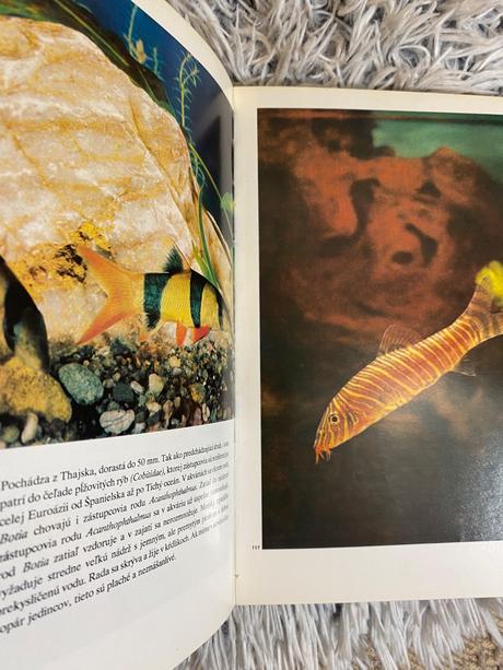 Stará retro kniha akváriové ryby stanislav frank,