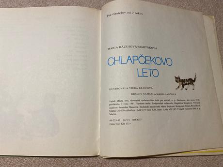 Stará retro kniha chlapčekovo leto,
