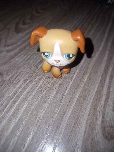 Littlest pet shop boxer, 