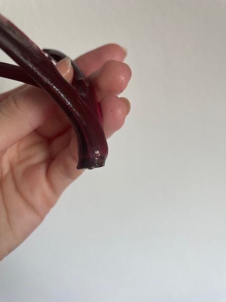 Rada ohľadom odrezku rastlinky