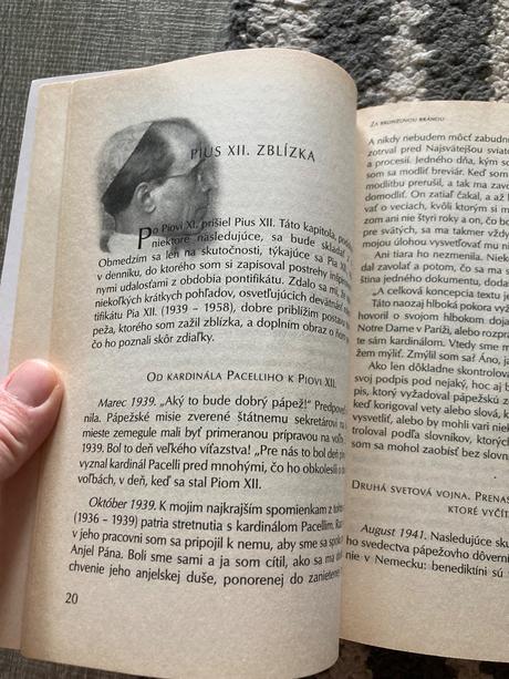 Za bronzovou bránou martin jacques (2000), 