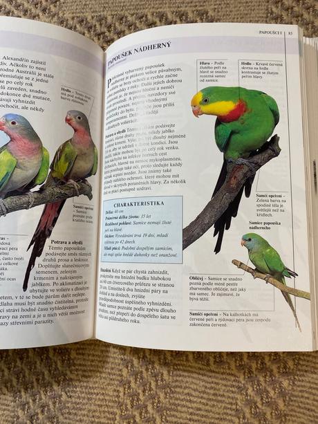 Krásna kniha vaše ptactvo david alderton,