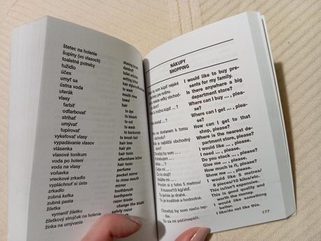 Angličtina do vrecka,