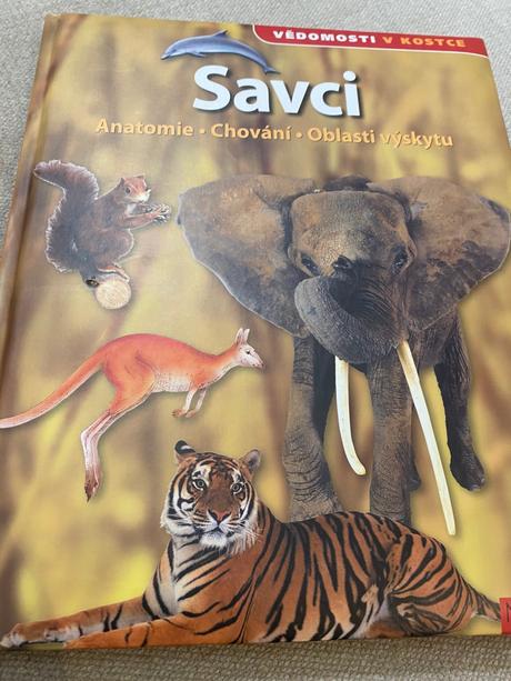 Savci vědomosti v kostce anatomie chování oblasti, 