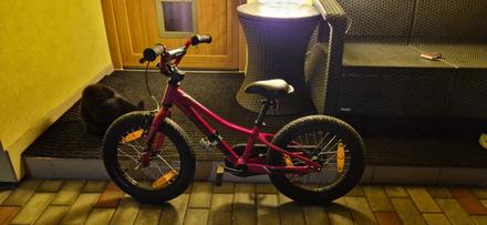 Bicykel specialized a followme, specialized,14