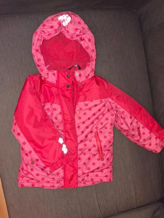 Zimná vetrovka, tcm,110