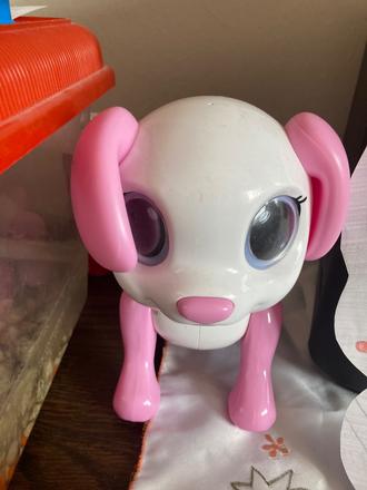 Interaktívny psík, 