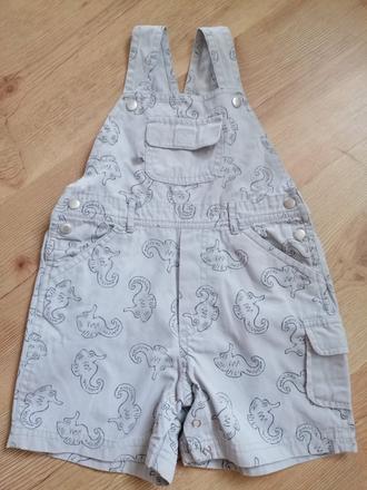 Sivé kraťasy na traky, 80