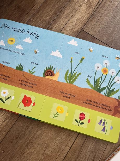 2x obrazkova kniha svojtka, 