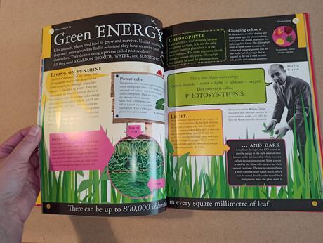 Dk robert winston - that's life hb, 