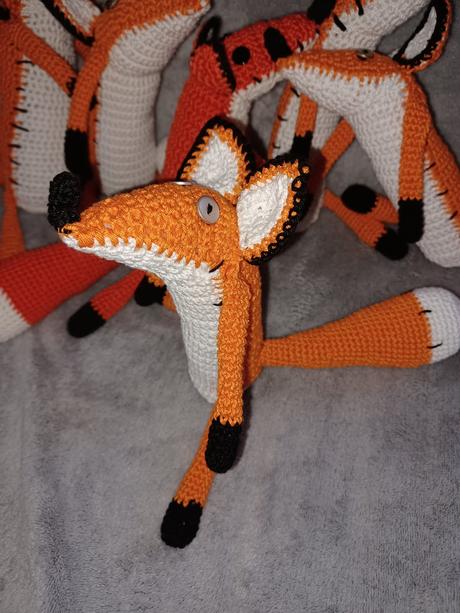 Háčkovaná líška, 