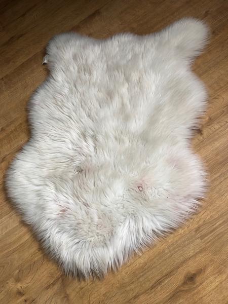 Ako prať koberček?