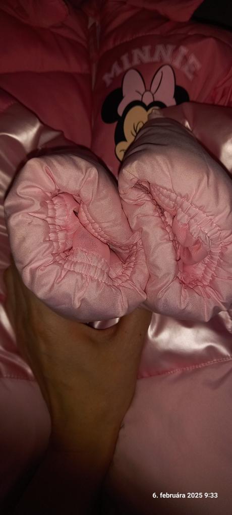 Bundicka minnie, disney,110