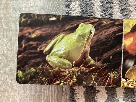 Pri vodičke, na vode /leporelo-prvé vyd.1989, 