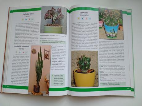 Pestujeme izbové rastliny, 