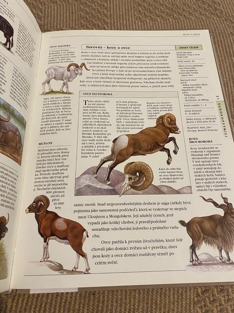 Velká ilustrovaná encyklopedie zvířat savci od a,