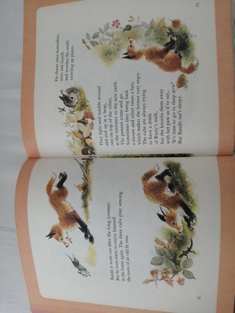 Anglická kniha - my little animal friends of the f, 