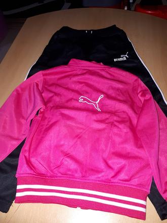 Teplakova suprava, puma,116