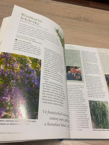 Velká kniha bylinek bylinky, 