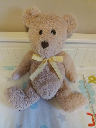 Plysovy medved s maslou,